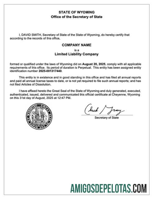 Certificado de registro dos EUA Wyoming para impressão, modelo Word e PDF, versão 2